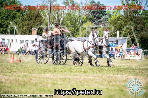 Mintakép 20260509-956