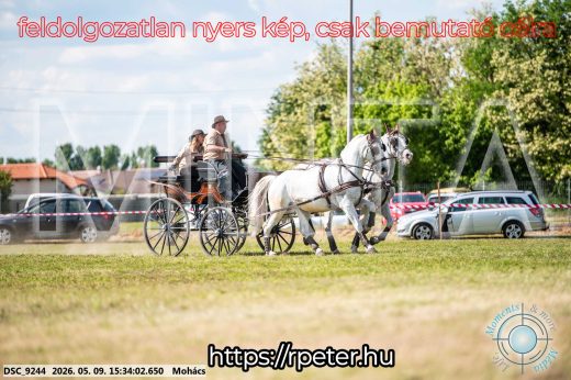 Mintakép 20260509-961