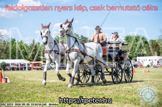 Mintakép 20260509-968