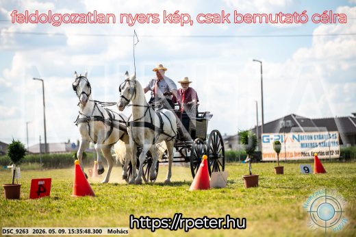 Mintakép 20260509-974