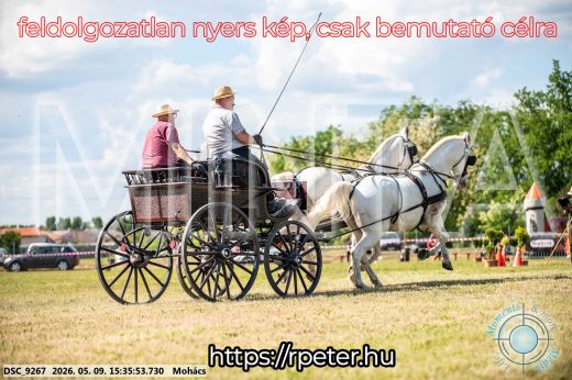 Mintakép 20260509-978
