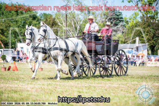 Mintakép 20260509-980