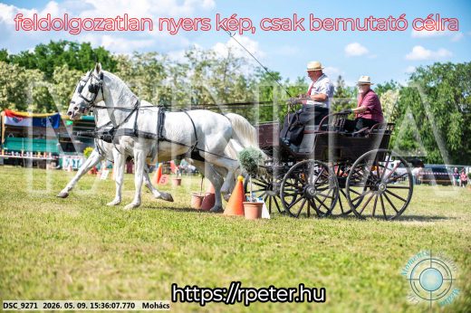 Mintakép 20260509-981