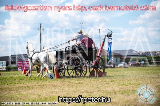 Mintakép 20260509-982