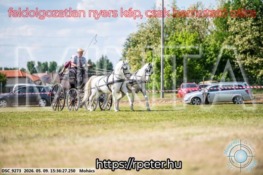 Mintakép 20260509-983