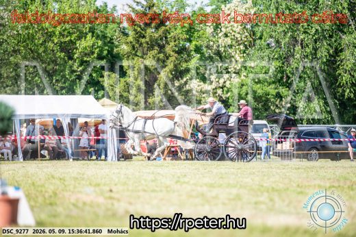 Mintakép 20260509-987