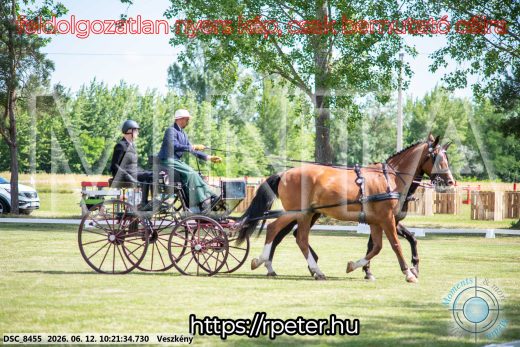 Mintakép 20260612-412