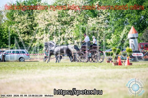 Mintakép 20260509-992