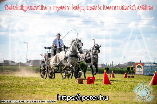 Mintakép 20260509-994