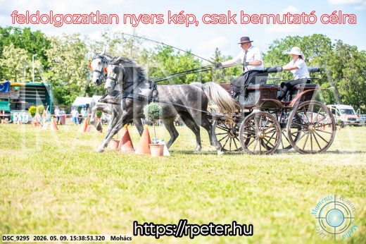 Mintakép 20260509-1002