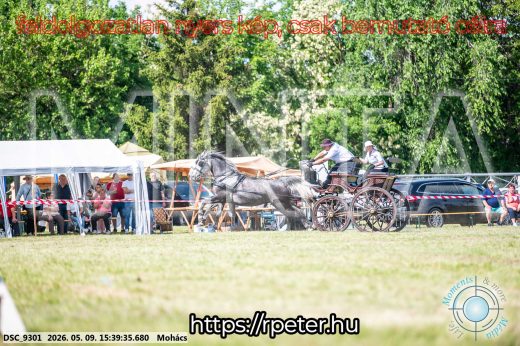 Mintakép 20260509-1006