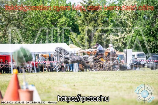 Mintakép 20260509-1007