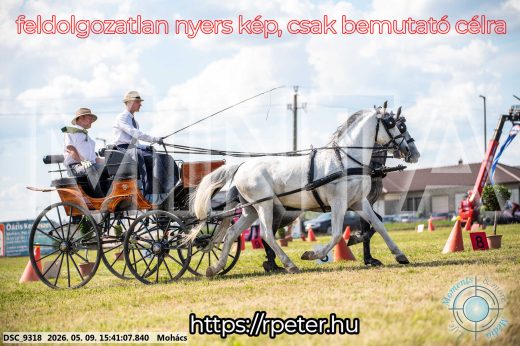 Mintakép 20260509-1018