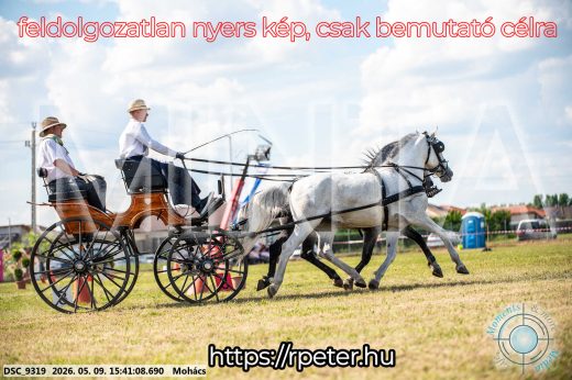 Mintakép 20260509-1019