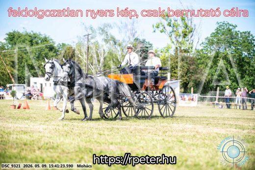 Mintakép 20260509-1021