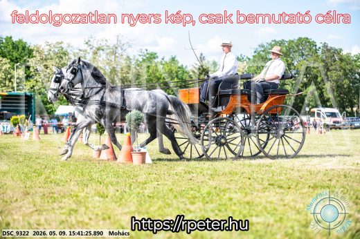 Mintakép 20260509-1022