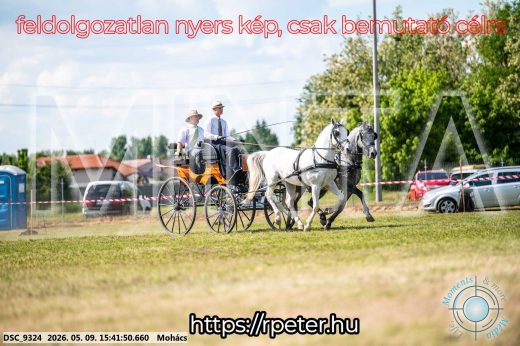 Mintakép 20260509-1024