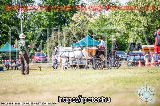 Mintakép 20260509-1028