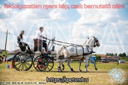 Mintakép 20260509-1030