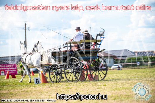 Mintakép 20260509-1038