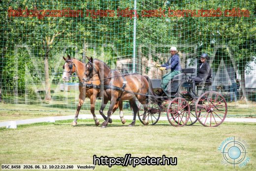 Mintakép 20260612-417