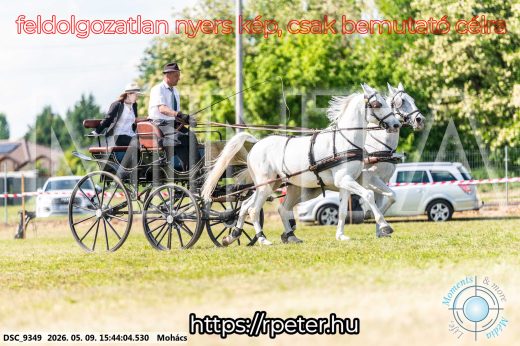 Mintakép 20260509-1040