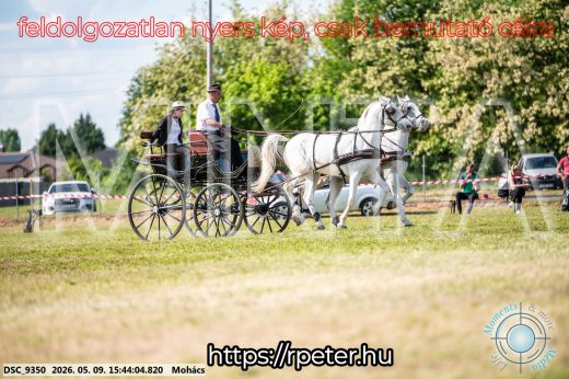 Mintakép 20260509-1041