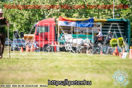Mintakép 20260509-1043