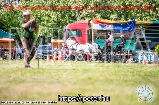 Mintakép 20260509-1044