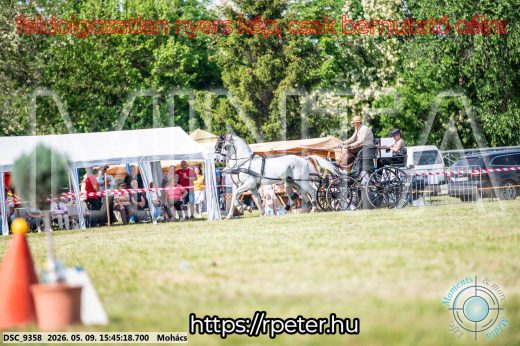 Mintakép 20260509-1047