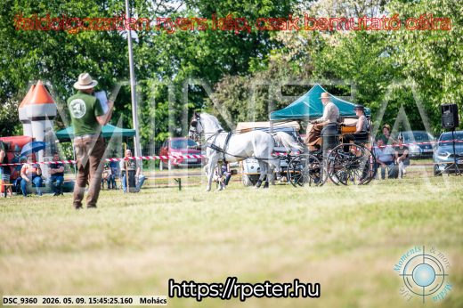 Mintakép 20260509-1048
