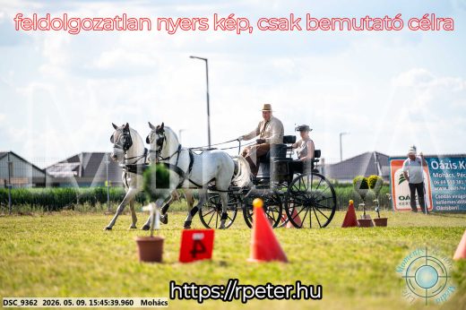 Mintakép 20260509-1050