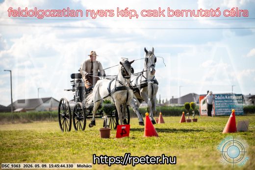 Mintakép 20260509-1051