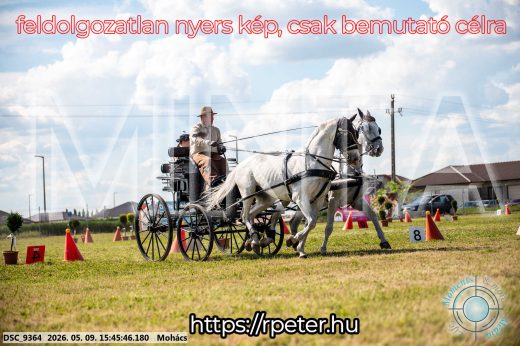Mintakép 20260509-1052