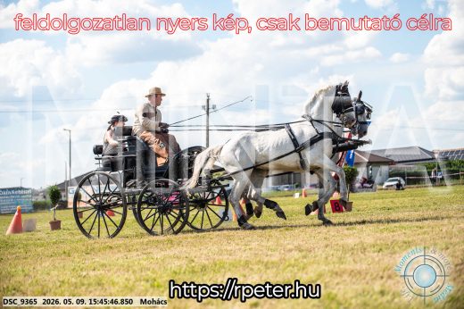 Mintakép 20260509-1053
