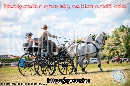 Mintakép 20260509-1055