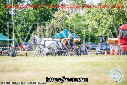 Mintakép 20260509-1063