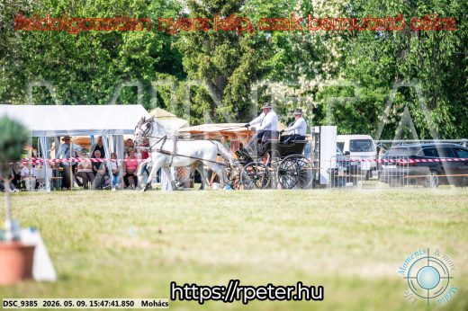 Mintakép 20260509-1066