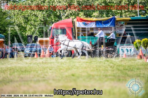 Mintakép 20260509-1067