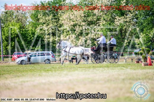 Mintakép 20260509-1068