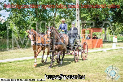 Mintakép 20260612-420