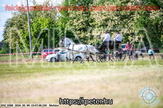 Mintakép 20260509-1069