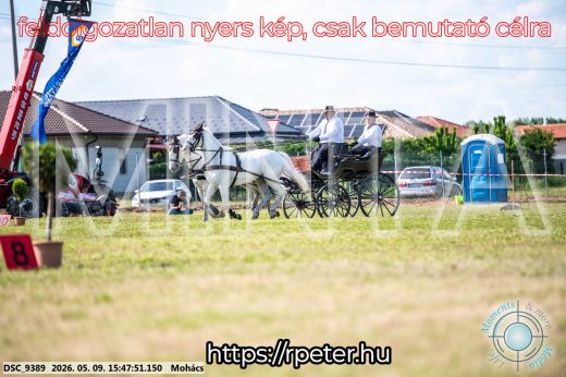 Mintakép 20260509-1070