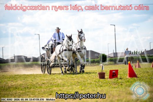 Mintakép 20260509-1072