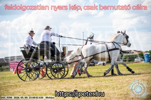 Mintakép 20260509-1074