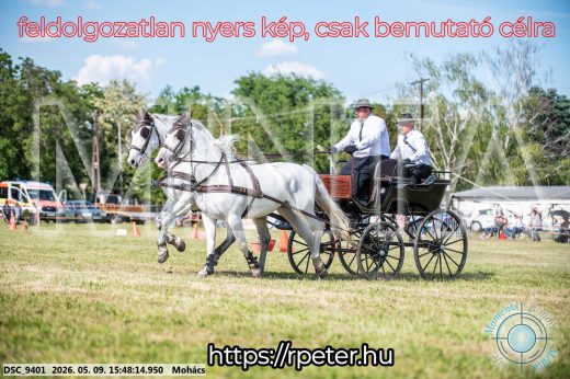 Mintakép 20260509-1078