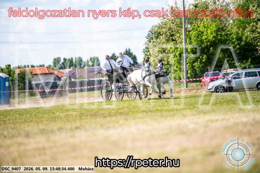 Mintakép 20260509-1081