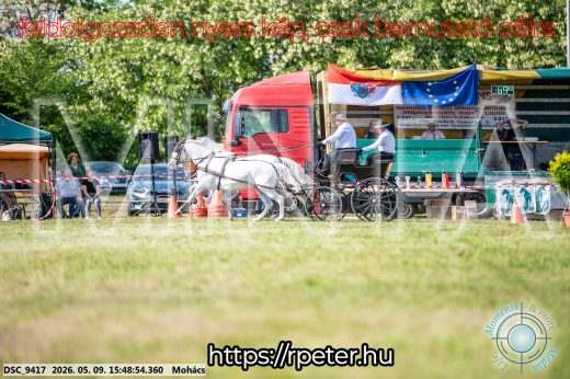 Mintakép 20260509-1087