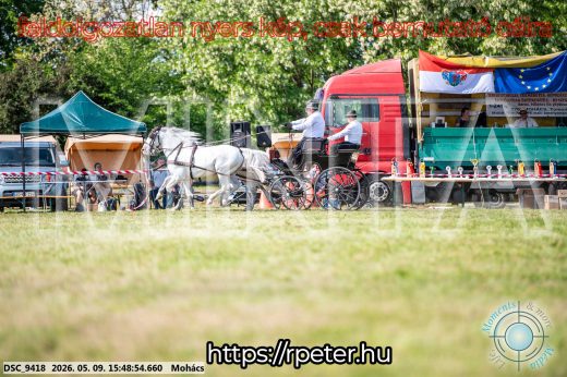 Mintakép 20260509-1088