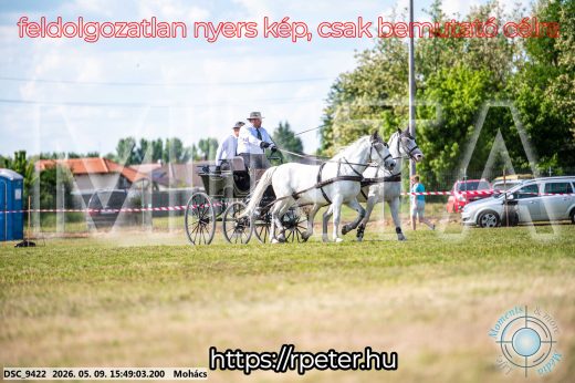 Mintakép 20260509-1089